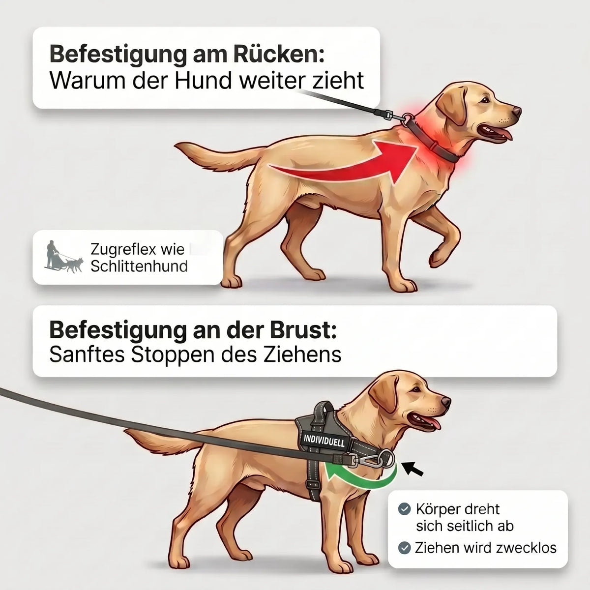 QUADA Anti-Zug-Bundle