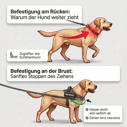 QUADA Anti-Zug-Bundle